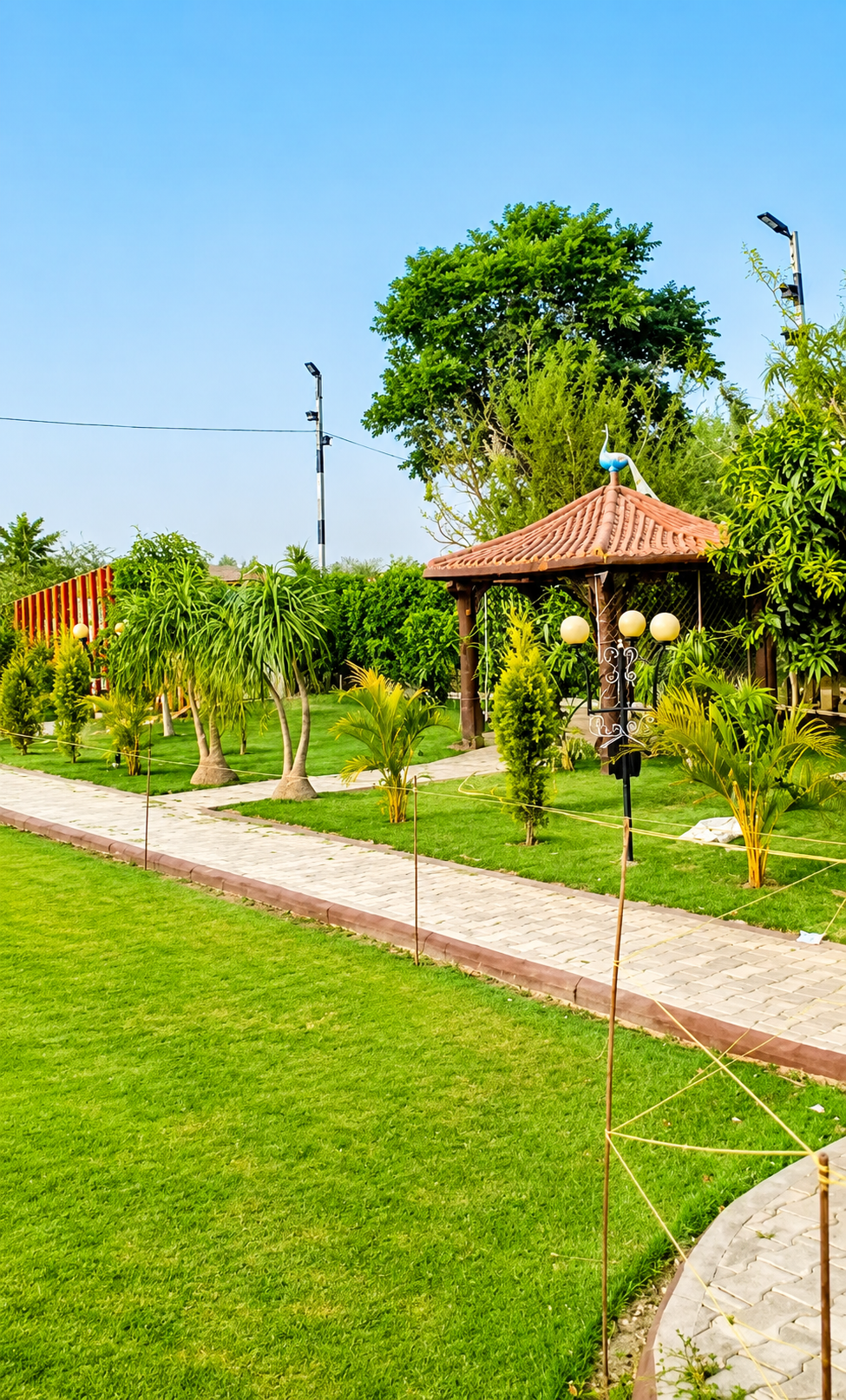 Wooden pergola walkway through landscaped grounds